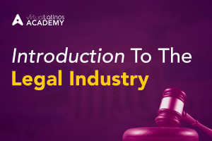 Introduction to the Legal Industry